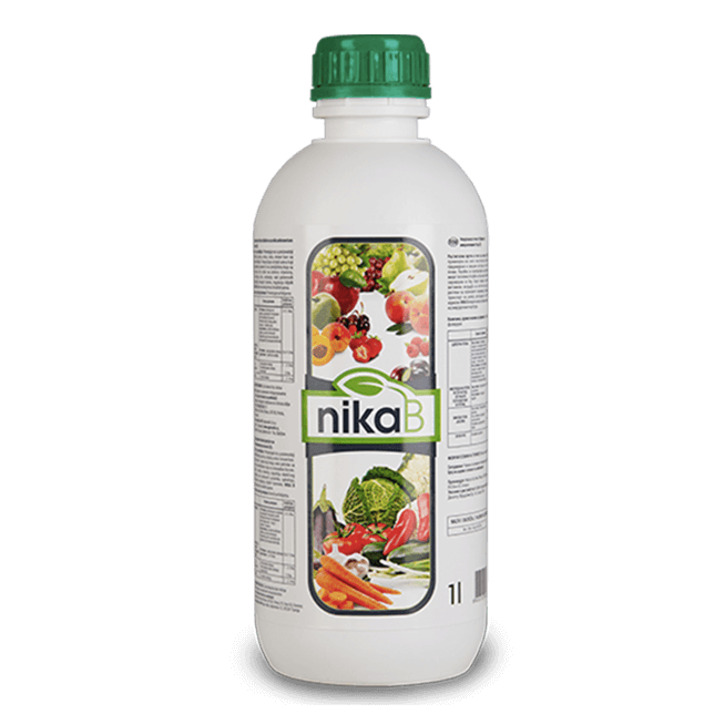 Nika-B_-1L
