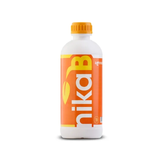 nika-b-1l-cover